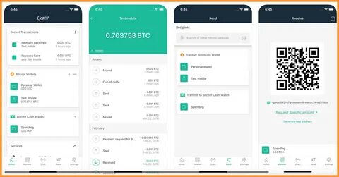 Testnet wallet