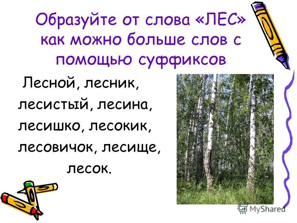 Сделать похожий текст. Лесные слова. Слово лес. Лесные слова 3 класс. Текст леса.