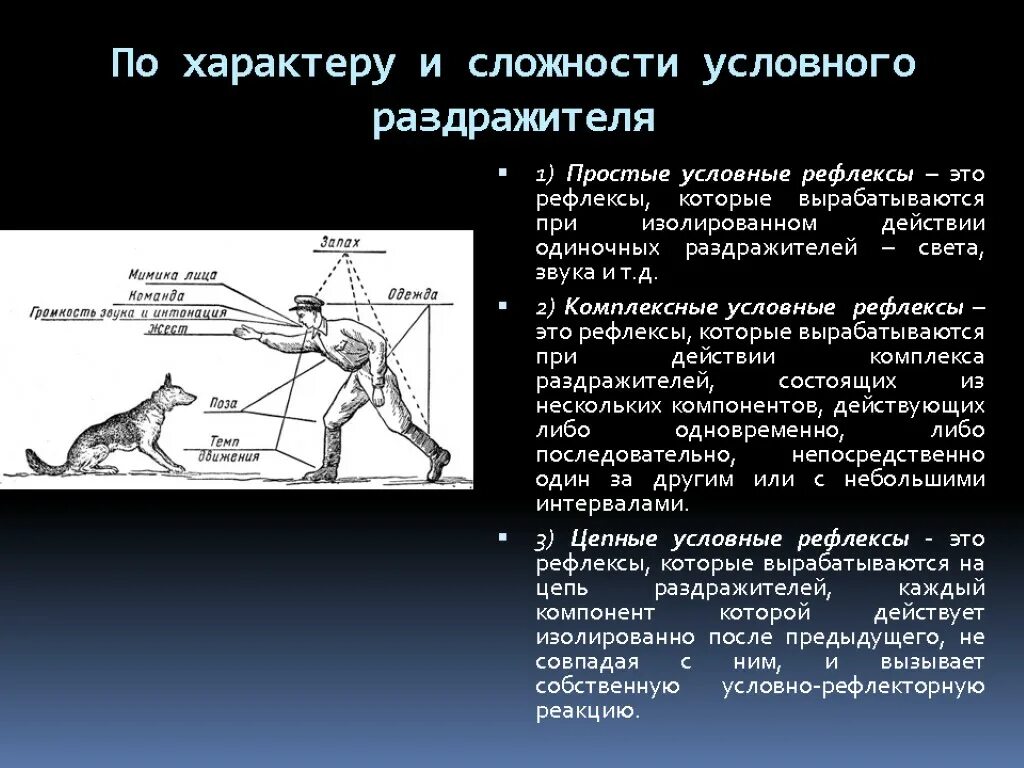 Примеры условных и безусловных рефлексов у млекопитающих. ВНД рефлексы. Условные и безусловные рефлексы физиология. Условный рефлекс физиология. Простые условные рефлексы.