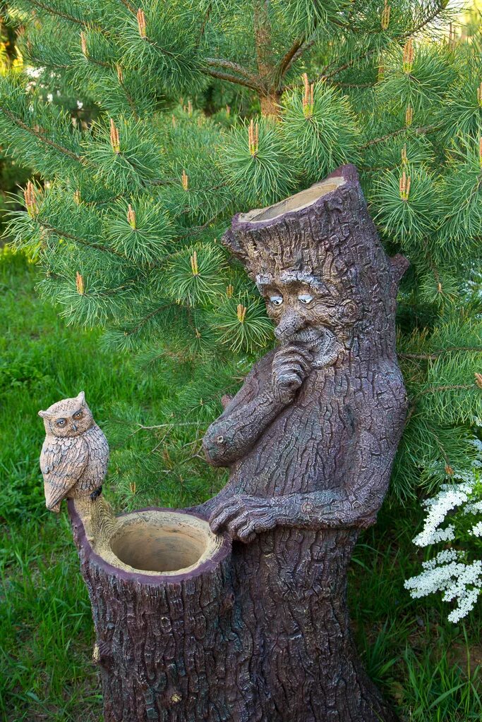 File:Tree stump with oak sapling at Myrstigen  Wikimedia Commons