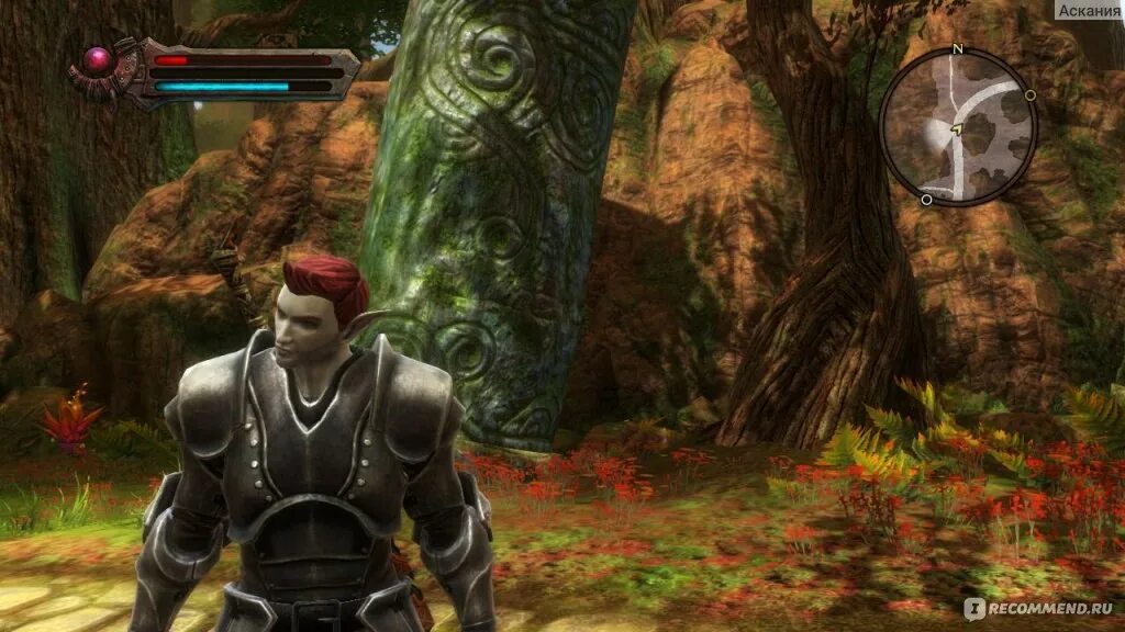 Kingdoms of amalur reckoning где. Kingdom of amalur. амалур кинг. kingdoms of amalur: reckoning игра. кингдомс оф амалур реконинг.