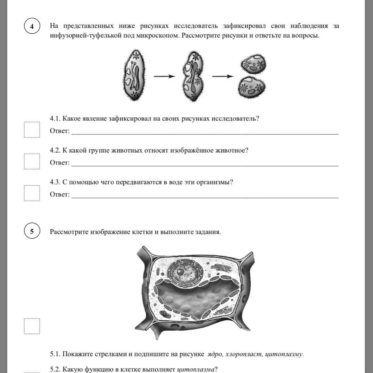 Учебник по впр 5 класс биология. ВПР биология 5 класс задания 6.1. Задания ВПР 5 класс биология. Задание по ВПР 6 класс по биологии. ВПР по биологии 5 класс задания.