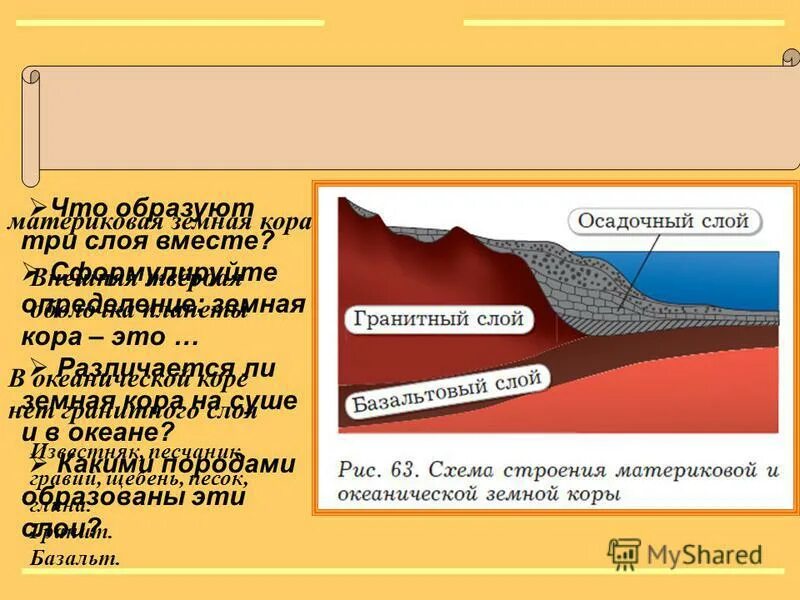 Три слоя коры