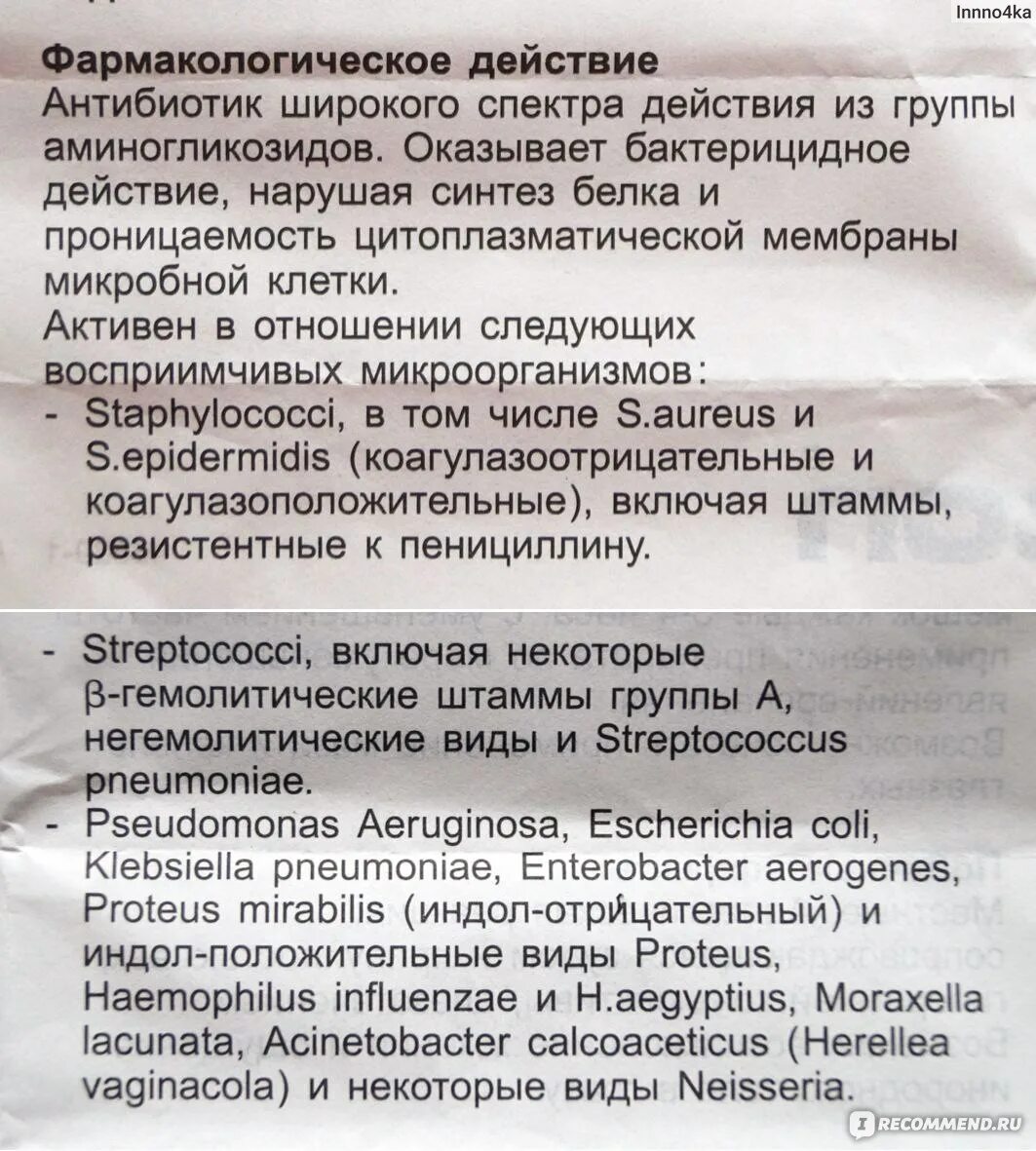 Тобрекс можно капать в нос. Тобрекс срок хранения после вскрытия. тобрекс капли срок хранения после вскрытия. капли для глаз и носа тобрекс. тобрекс назальные капли в нос.