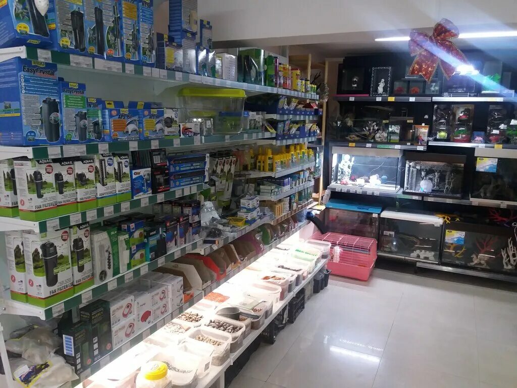 Зоомагазин биробиджан. Зоомагазин золотая рыбка в сызрани. Золотая рыбка зоомагазин саратов. Золотая рыбка зоомагазин. Зоомагазин биробиджан.