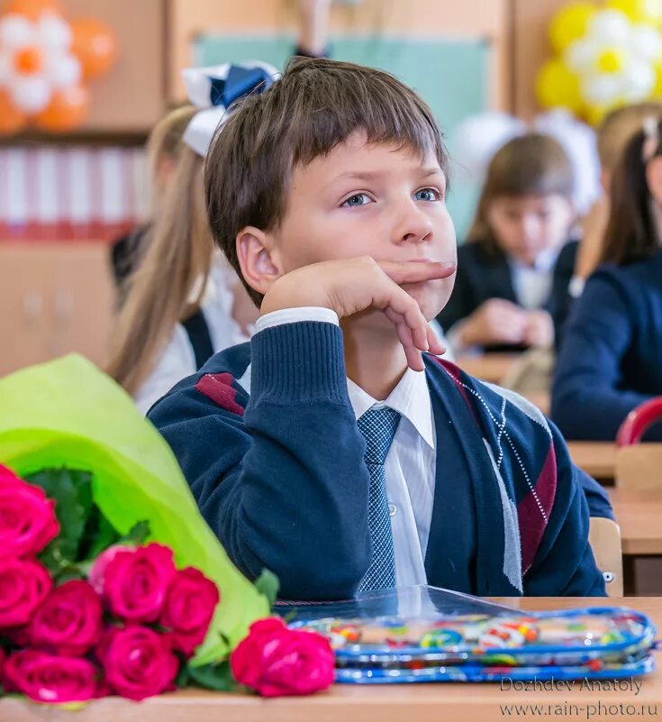 Репортажный портрет школы. Снова в школу. Снова в школу фото. Фото опять в школу. Песни снова в школу