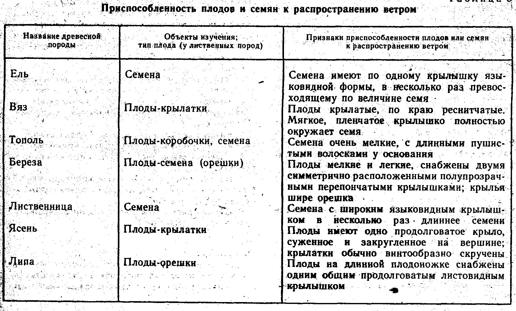 Псаммофиты места обитания приспособления примеры растений Приспособление растений к разным средам обитания Telegraph