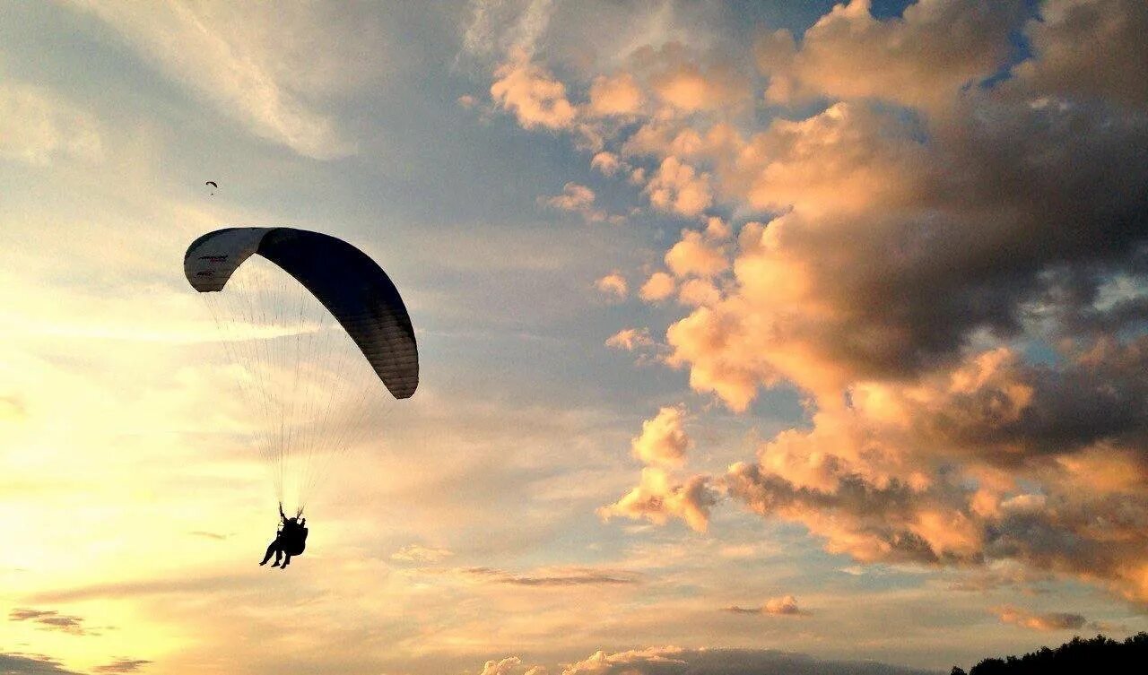 Парапланерная школа Москва. Fly Fly Skydiving Team Freefly.