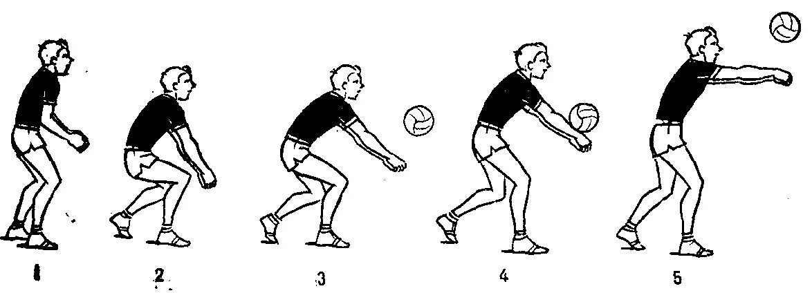 Нижняя подача прием мяча снизу. Приём мяча снизу приём подачи в волейболе. Волейбол принятие мяча снизу. Прием подачи снизу двумя руками. Правильный прием мяча в волейболе снизу.