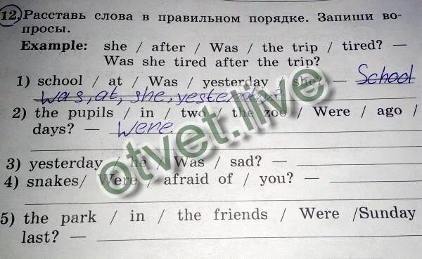 Расставьте слова в правильном порядке. Расстааь в правильртм порчлке. Расставь слова в нужном порядке. Расставь слова в правильном порядке. When did she play