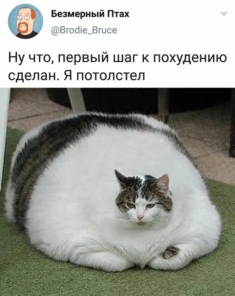 Пожимает плечами. Грусть юмор. Поддержка в сложной ситуации картинки. Ну вот и лето прошло. Бухаешь небось.