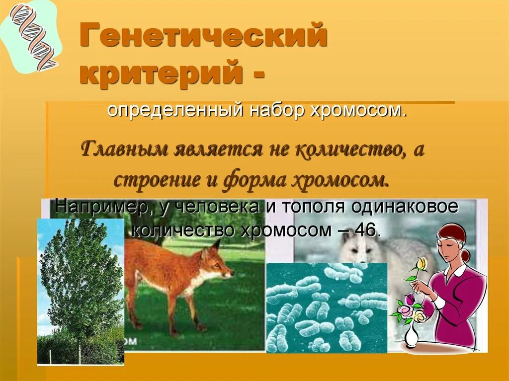 Генетический критерий. Физиологический критерий. Генетический критерий исключения. Генетический пример. Генетический критерий у растений.