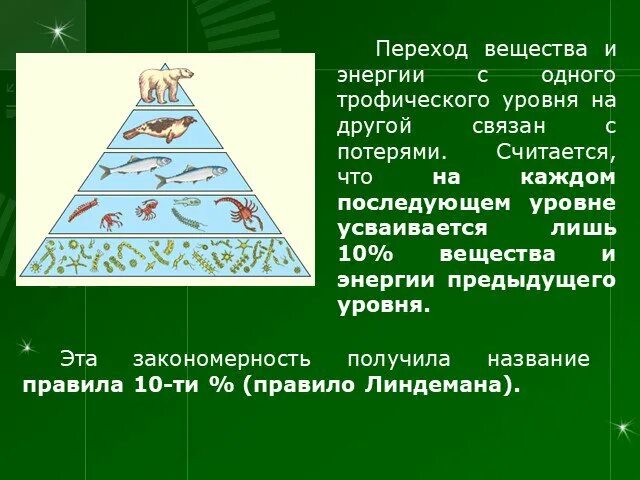 На каждый последующий уровень переходит энергия. Трофические уровни. переход энергии с одного трофического уровня на другой. энергия переходит с одного трофического уровня на другой без потерь.. потери энергии при её передаче с одного трофического уровня на другой.