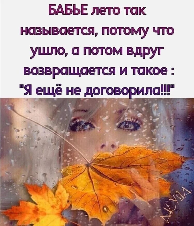 Бабье лето юмор. Упаковав очки от солнца шезлонг румяна и помаду сказало. Бабье лето читать. Упаковав очки от солнца шезлонг румяна и помаду сказало аналоги. Упаковав очки от солнца шезлонг румяна.