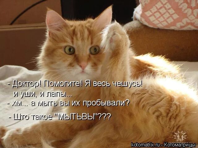 Свербит