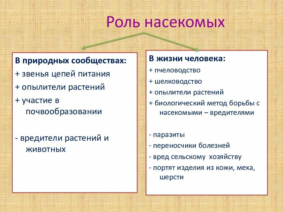 Значение насекомых положительные и отрицательные. Роль насекомых в природе и жизни человека 7 класс биология. значение насекомых в природе и жизни человека 7 класс таблица. значение насекомых в природе и жизни человека 7 класс биология. значение насекомых в жизни человека.
