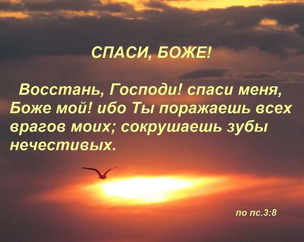 Совершенный бог слова