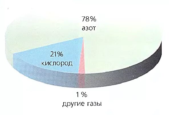 Кислород 21 в воздухе. Из чего состоит воздух. Состав выхлопных газов диаграмма. Какие ГАЗЫ находятся в воздухе. Из чего воздух.