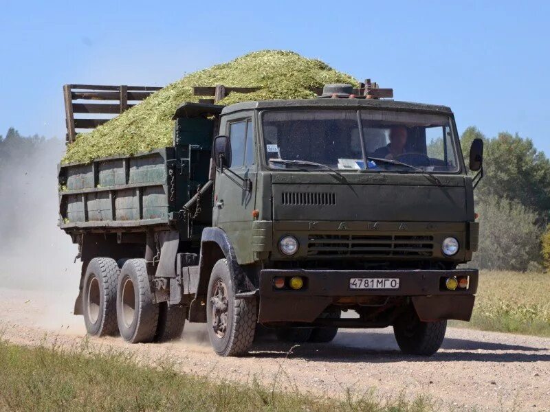 Показать машины камаз. Грузовик КАМАЗ 55102. КАМАЗ 55102 грузовых. КАМАЗ 55102 зерновоз. КАМАЗ 55102 С зерном.