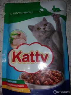 Самый дешевый корм