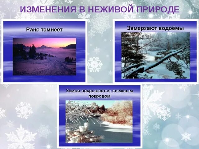 Изменения в неживой природе зимой биология. Зимние изменения в природе. Зимние изменения в живой и неживой природе. Зимние явления в неживой природе. Сезонные явления в природе зимой.