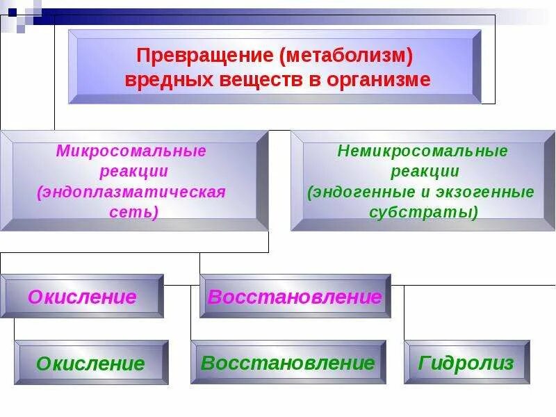Какое превращение в организме человека невозможно. Превращение вредных веществ в организме. превращение токсических веществ в организме. трансформация вредных веществ. виды превращения ядов в организме.