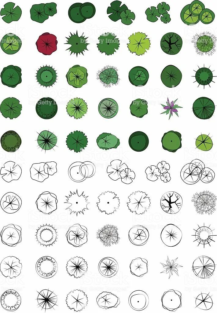 Деревья символы стран. Значки для ландшафтного проектирования деревья. Значки для ландшафтного проектирования. Деревья для плана ландшафта сверху. Обозначение деревьев.