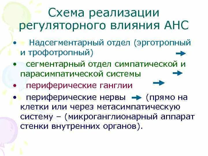 Эрготропный отдел. Надсегментарный отдел анс. Схема регуляторных влияний анс. Схема реализации регуляторных влияний автономной нервной системы. Изменения регуляторного характера