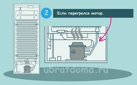 Холодильник индезит ноу фрост не включается