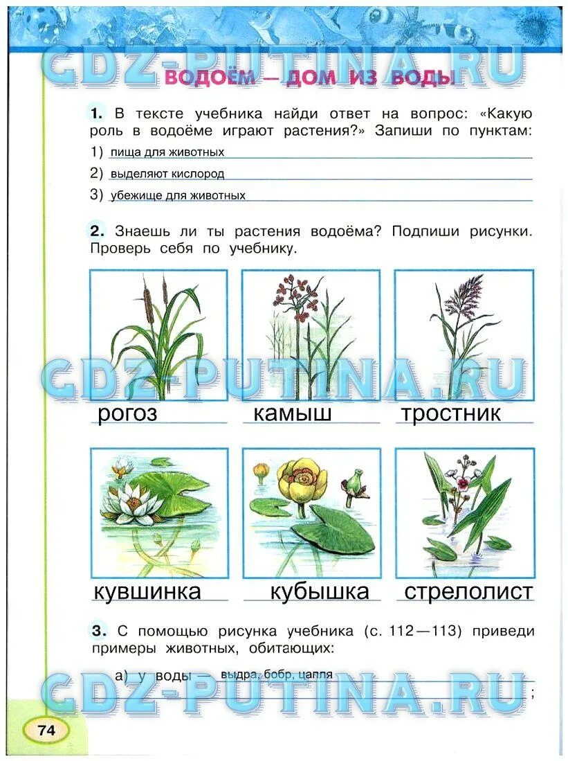 Домашняя работа по окружающему 3. Домашняя работа по окружающему 3