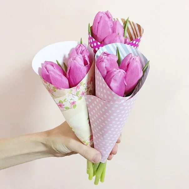 Упаковка тюльпанов красиво. Как упаковать 3 тюльпана. Упаковка тюльпанов в прозрачную пленку. 5 тюльпанов букет. Как упаковать 3 тюльпана.