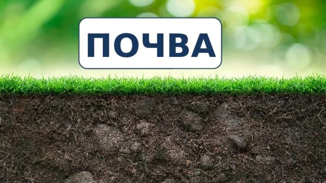 Почва видеоурок 3 класс окружающий. Почва презентация. надпись почва. почва 2 класс. почва слайд.