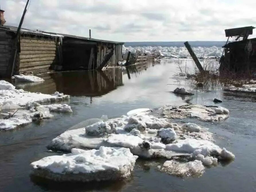 Залитая в половодье 6 букв