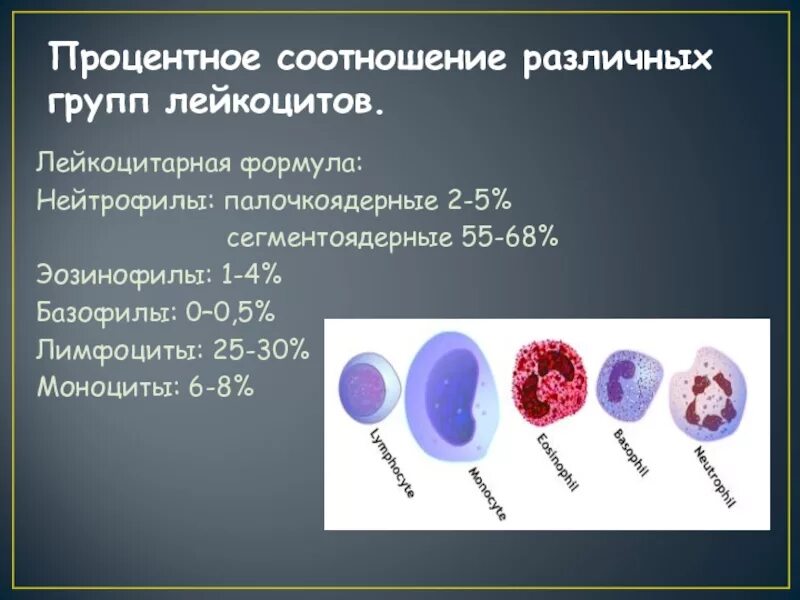Лейкоциты группа крови. Нейтрофилы лимфоциты моноциты. Лейкоциты лейкограмма. Лимфоциты в лейкоцитарной формуле. Палочкоядерные нейтрофилы 0-5.