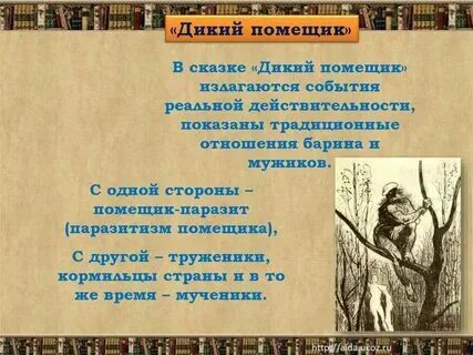 Цели дикого