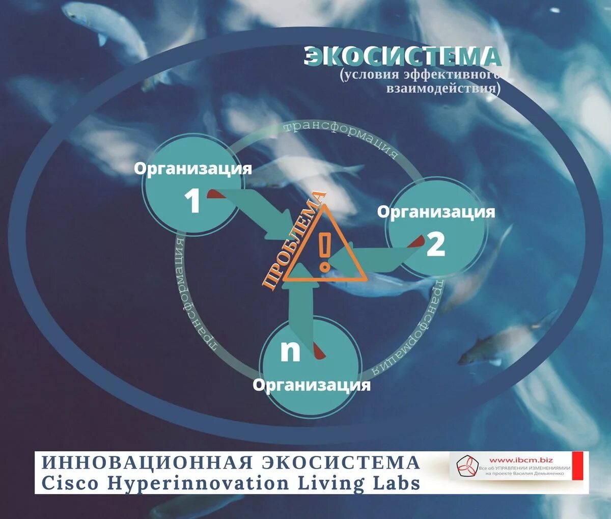 Понятие цифровой экосистемы. Инновационная экосистема. Инновационная экосистема предприятия. Формирование инновационной экосистемы. Модель инновационной экосистемы.