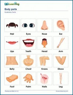 Parts of body vocabulary