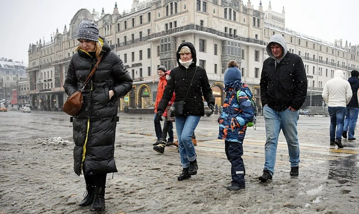 В каком городе можно ожидать потепление. Олег анисимов климатолог. глобальное потепление в россии. глобальное потепление в россии 2025. глобальное потепление москва.