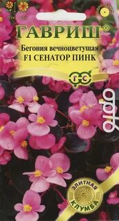 Семена бегонии вечноцветущей