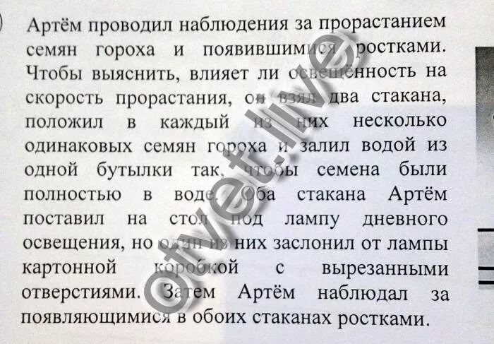 Как влияет на семена освещенность. Артём проводил наблюдения за прорастанием семян. артём проводил наблюдения за прорастанием семян гороха. влияние освещённости на скорость прорастания семян. влияет ли освещенность на скорость прорастания семян.