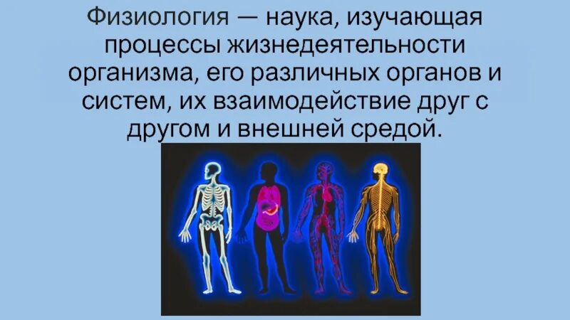 Обмг веществ в организме человека. Обменные процессы в организме. Питательные вещества для роста. Свойства организма человека. Вещества необходимые для жизнедеятельности.
