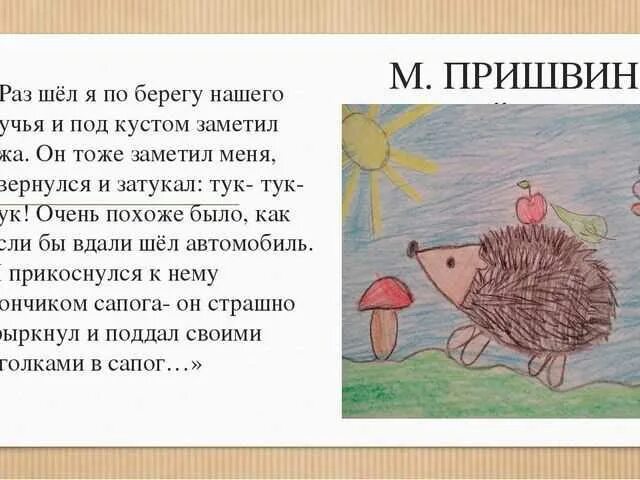 Ежик краткое содержание. Еж рассказ. Рассказ про ежика. Раз шёл я по берегу нашего ручья и под кустом заметил. Ежик пришвин.