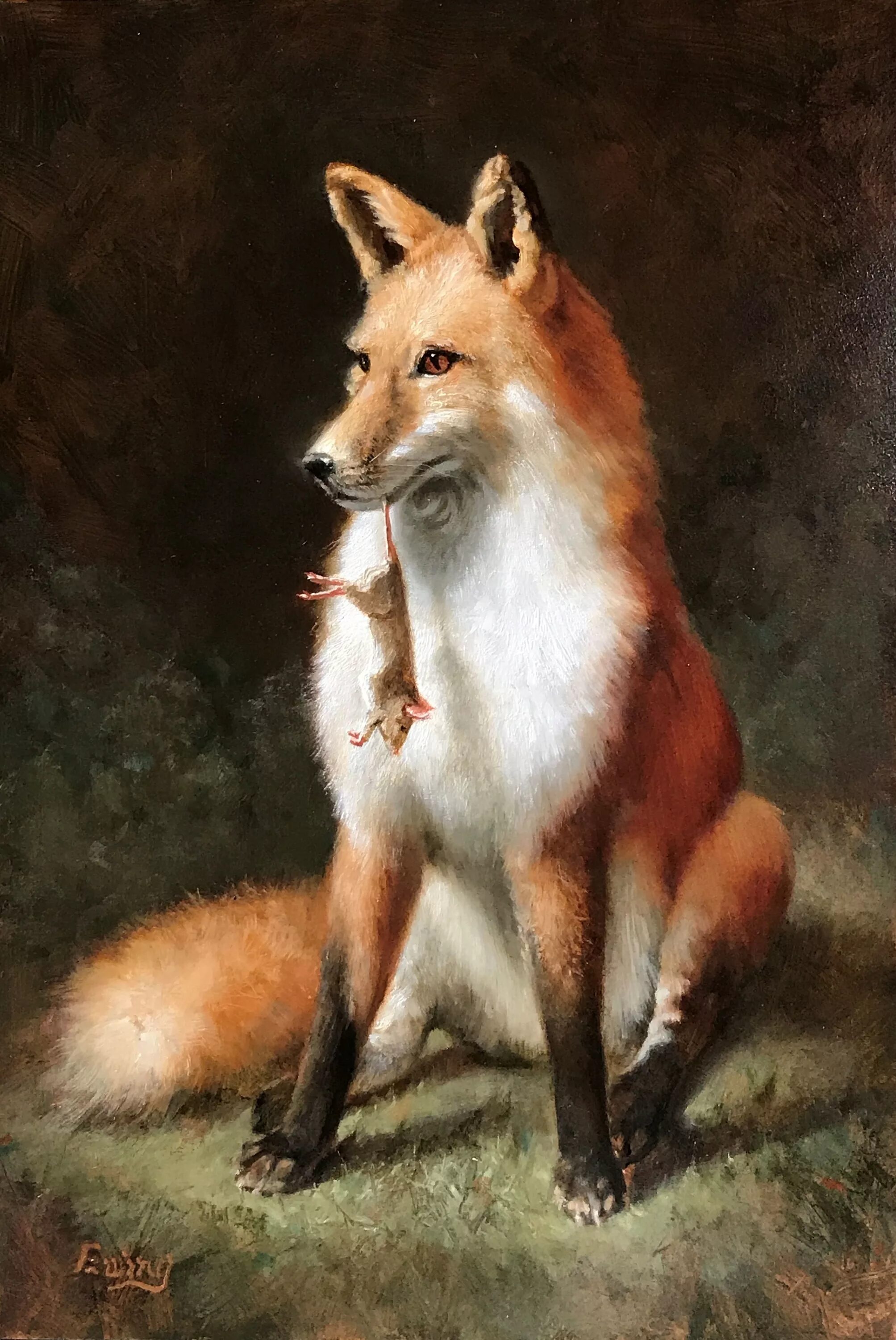 Лиса рат. Японские иллюстрации лис. Хомяк и лис. Лиса. Лисья крыса.