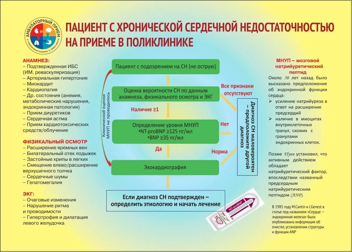 Алгоритм прием врача. Алгоритм маршрутизации пациентов в поликлинике. Маршрутизация пациента с ХСН. Алгоритм приема пациента в поликлинике. Маршрутизация больных с сердечно-сосудистыми заболеваниями.