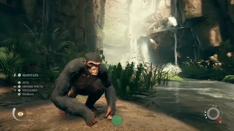 Игра где ты играешь за обезьяну