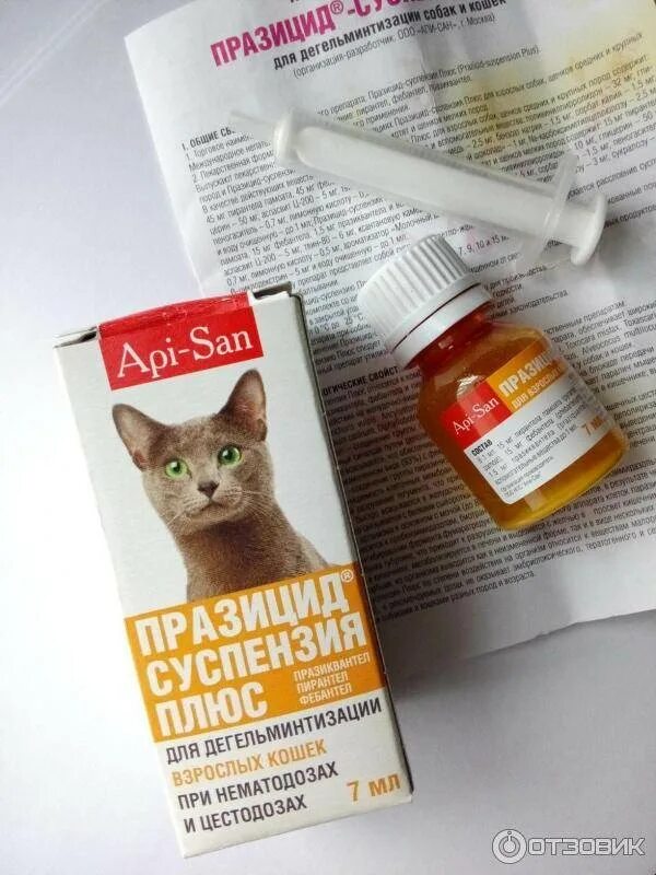 Капли 3 в 1 для кошек от блох,глистов. Скифф празител суспензия для щенков и собак мелких пород 20 мл. Капли на холку от блох клещей и от глистов для кошек. Капли для животных от глистов на холку для кошек. Средство против глистов для кошек на холку.