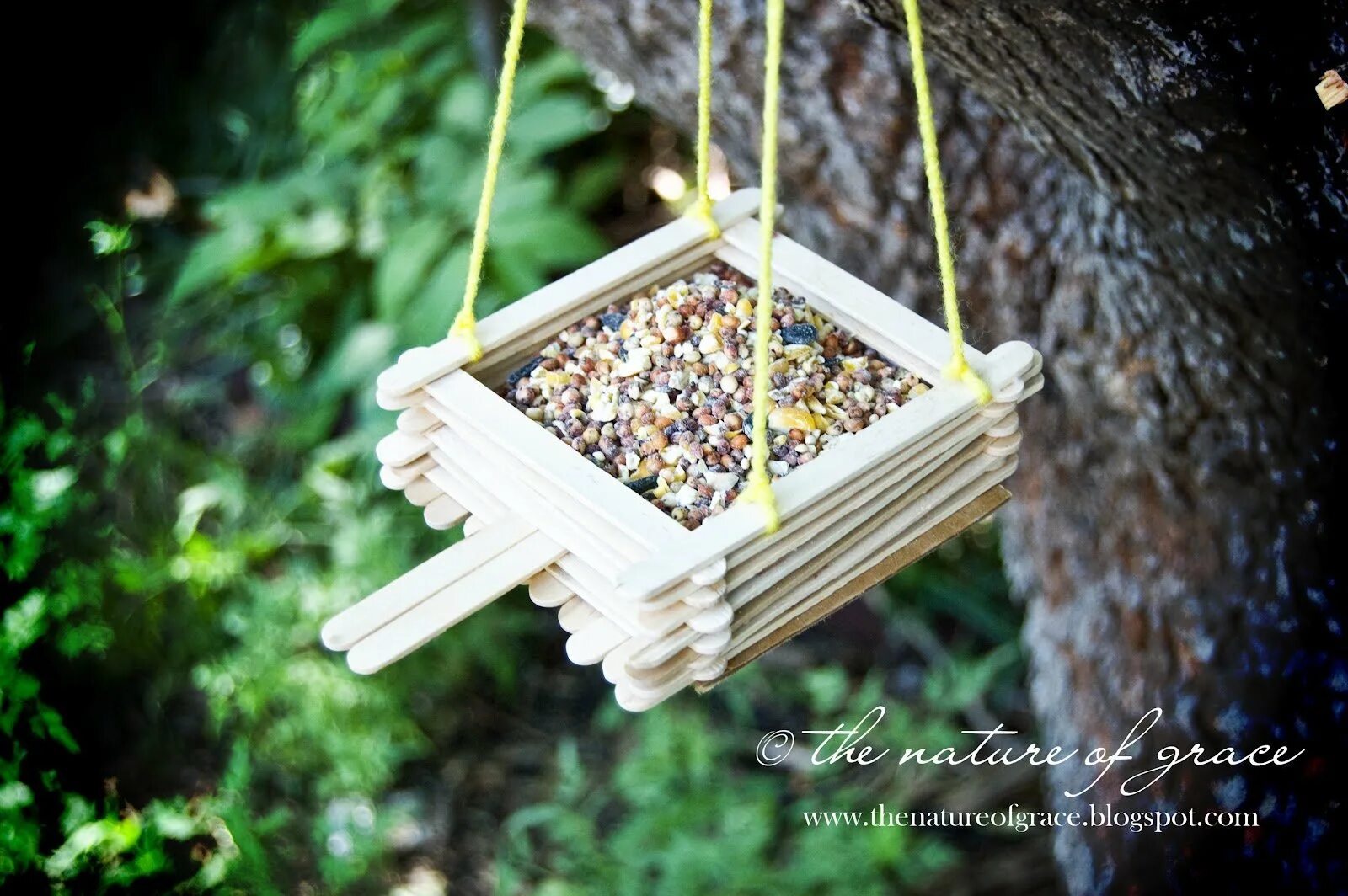 Кормушка для птиц из палочек. Кормушка из палочек для мороженого. Кормушка из деревянных палочек. Кормушка из палочек. Кормушка из палочек.