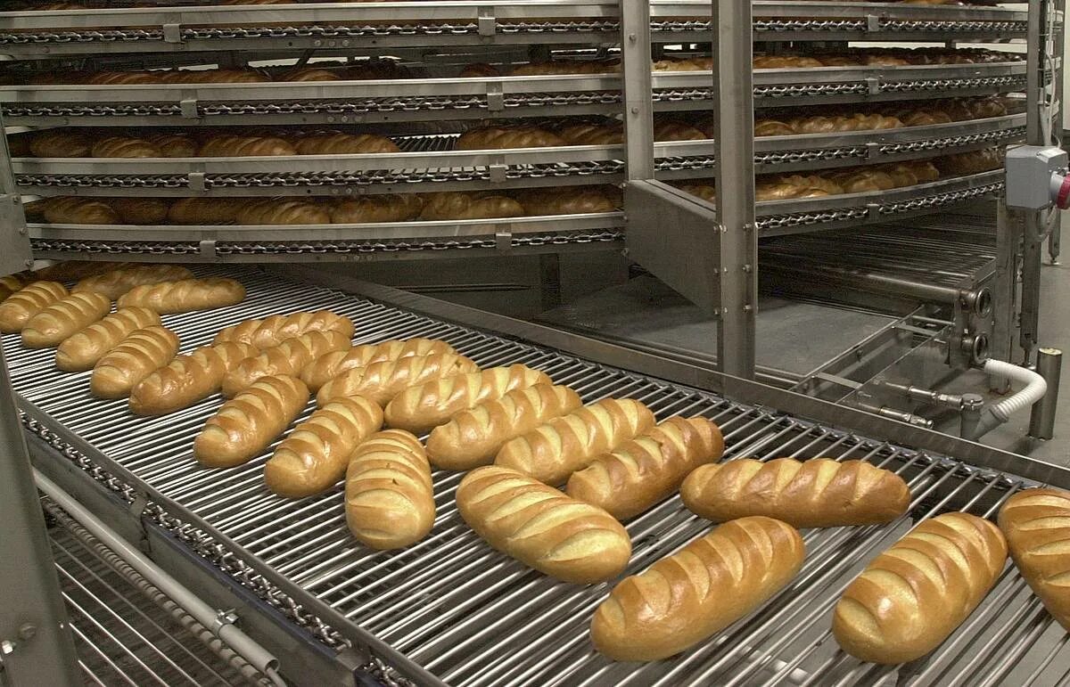 хлебная промышленность. предприятие хлебопекарной промышленности. предприятие хлебопекарной промышленности. современная хлебопекарня. буханка нон ишлаб чиқариш цехи.