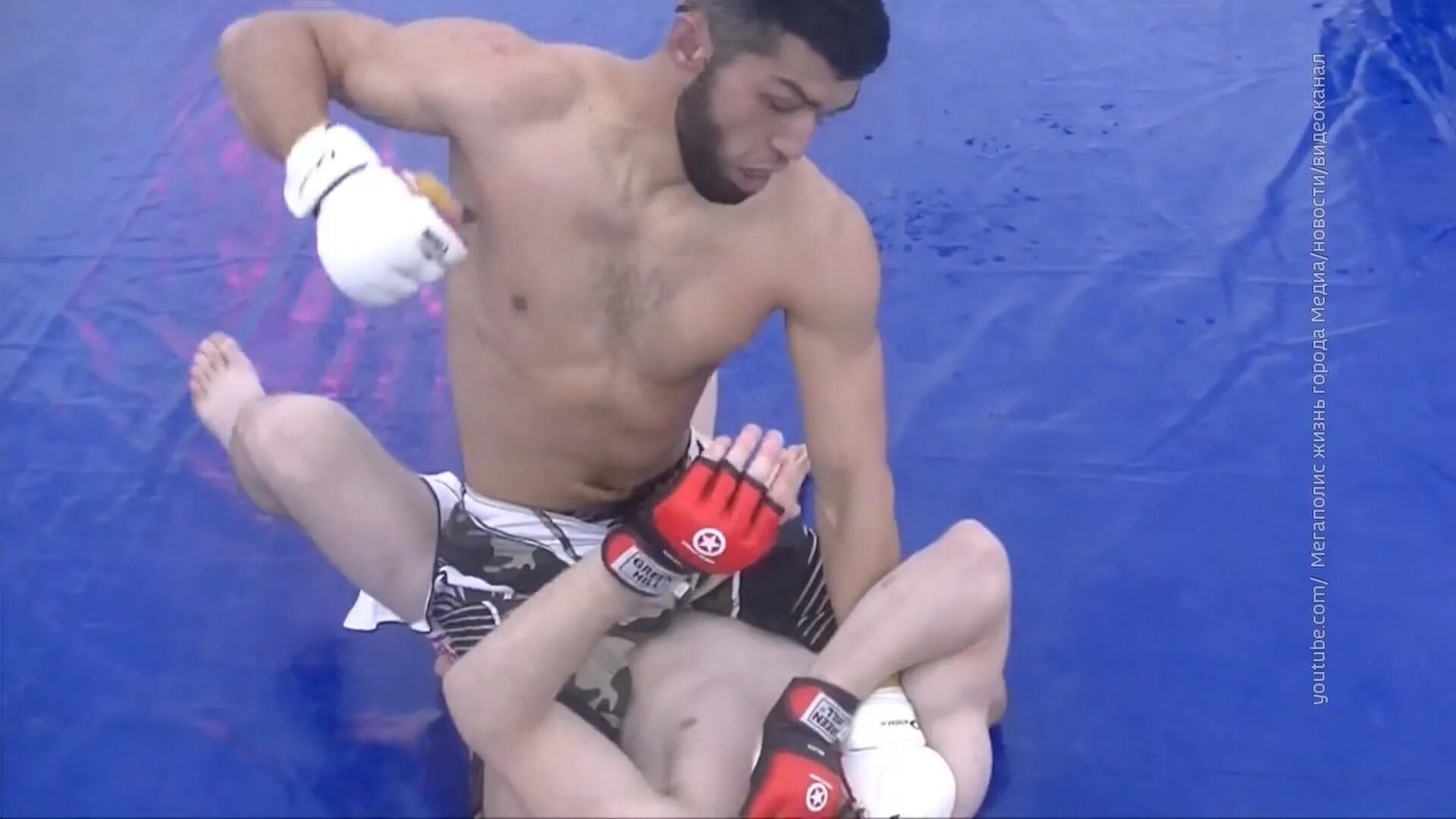 Боец мма рустан абдурапов. Осетинская девушка боец мма. Корешков боец мма. Боец мма акмал хожиев фото. Чимаев боец ufc.