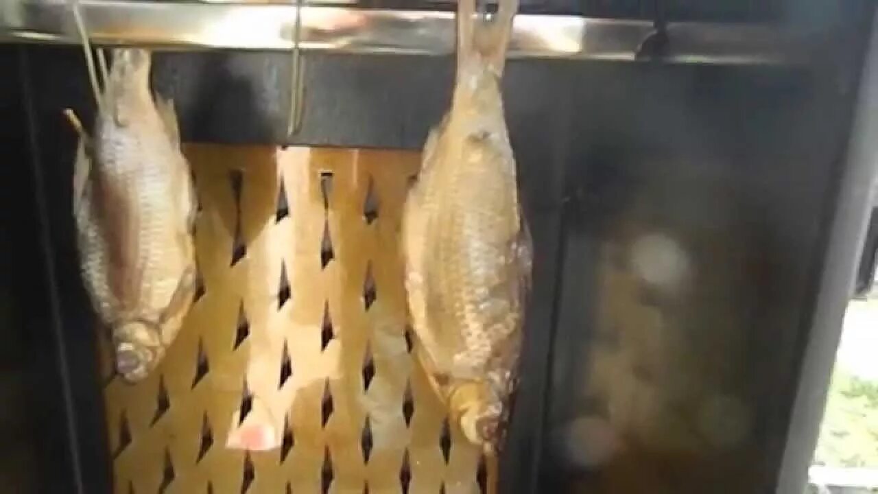 Копчение курицы в коптильне видео. Бытовая электростатическая коптильня холодного копчения «электра». перепел горячего копчения. электростатическая коптильня из пластиковых ящиков. копчение рыбы электростатика фото.